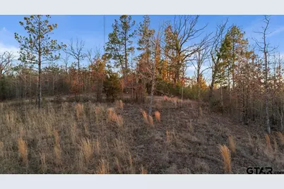 16935 Ridgeline Loop, Winona, TX 75792 - Photo 9