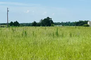 Tbd County Road 4702, Ben Wheeler, TX 75754 - Photo 1