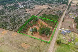 11164 FM 1650, Gilmer, TX 75645 - Photo 45