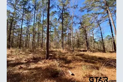 Tbd Fm 227, Kennard, TX 75847 - Photo 33