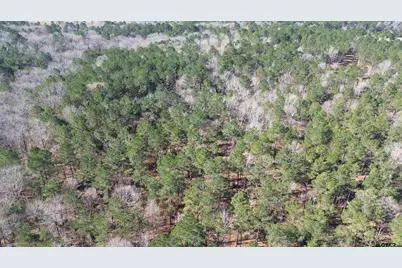 Tbd Fm 227, Kennard, TX 75847 - Photo 11