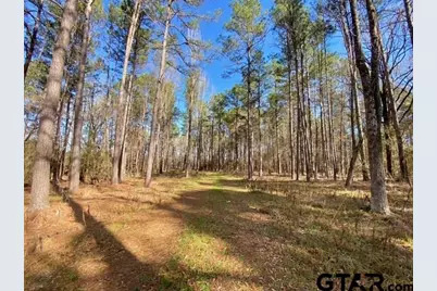 Tbd Fm 227, Kennard, TX 75847 - Photo 27