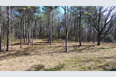 Tbd Fm 227, Kennard, TX 75847 - Photo 5