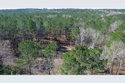 Tbd Fm 227, Kennard, TX 75847 - Photo 19