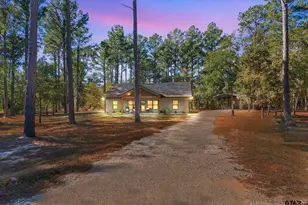 210 Pr 5808, Grand Saline, TX 75140 - Photo 3