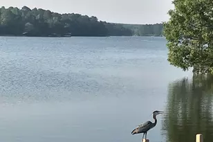 225 Holly Hill 118E, Holly Lake Ranch, TX 75765 - Photo 27