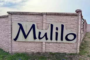 421 Bush Buck Wy, Bullard, TX 75757 - Photo 47