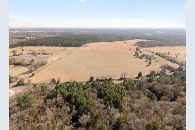 Lot 1 Fm 1795, Big Sandy, TX 75755 - Photo 5