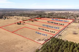 Lot 2 County Road 3689, Big Sandy, TX 75755 - Photo 1