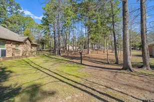 371 Meadow View Path, Holly Lake Ranch, TX 75765 - Photo 9