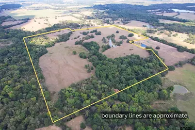 Lot 4 Cr 1155, Brashear, TX 75420 - Photo 5