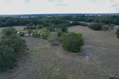 Lot 4 Cr 1155, Brashear, TX 75420 - Photo 7