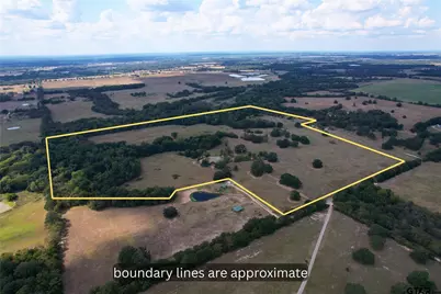 Lot 4 Cr 1155, Brashear, TX 75420 - Photo 3