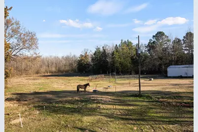 290 County Road 2220, Pittsburg, TX 75686 - Photo 29