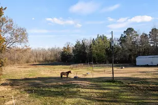 290 County Rd 2220, Pittsburg, TX 75686 - Photo 29