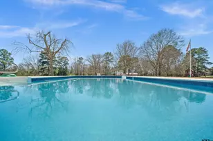 264 County Rd 1431, Jacksonville, TX 75766 - Photo 43