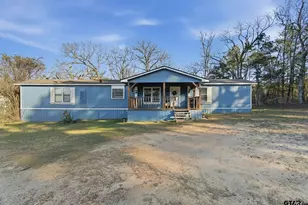 8261 County Rd 381, Tyler, TX 75708 - Photo 3