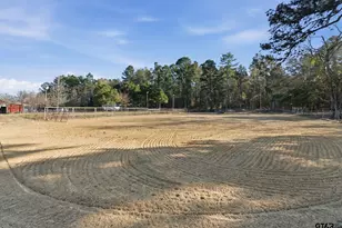 8261 County Rd 381, Tyler, TX 75708 - Photo 21