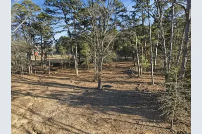 8261 County Road 381, Tyler, TX 75708 - Photo 33