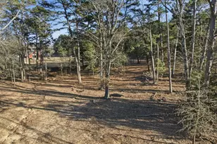 8261 County Rd 381, Tyler, TX 75708 - Photo 33