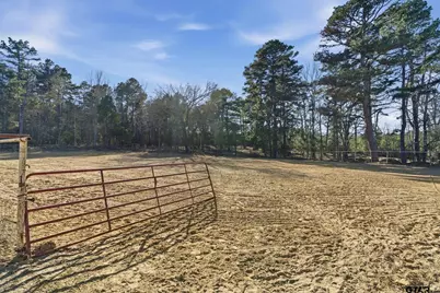 8261 County Road 381, Tyler, TX 75708 - Photo 25