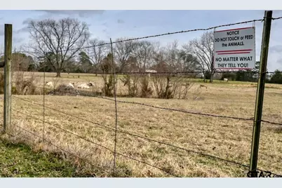 3852 W Fm 16, Tyler, TX 75706 - Photo 27