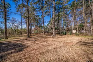 179 N Pinecrest, Rusk, TX 75785 - Photo 23