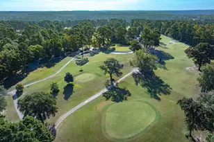 1304 Greenbriar Trail, Holly Lake Ranch, TX 75765 - Photo 45