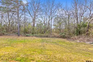 12171 Copper Ct, Tyler, TX 75706 - Photo 5