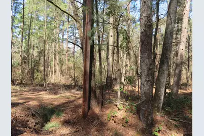 19904 Channel View Dr., Flint, TX 75762 - Photo 5