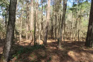 19904 Channel View Dr, Flint, TX 75762 - Photo 1