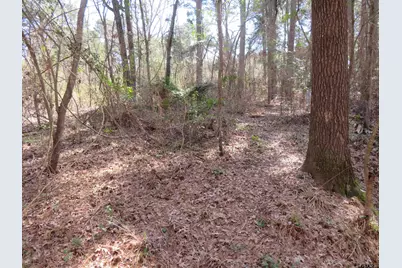 19904 Channel View Dr., Flint, TX 75762 - Photo 3