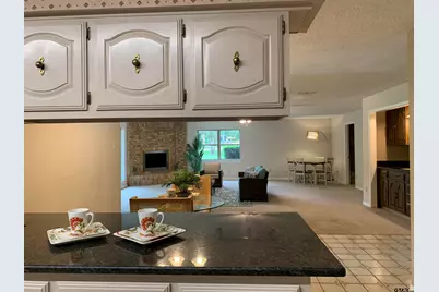 115 Raton Pass, Holly Lake Ranch, TX 75765 - Photo 11