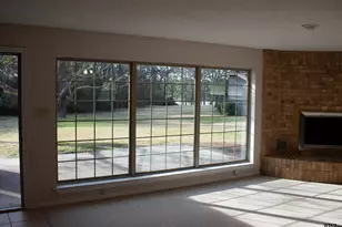 115 Raton Pass, Holly Lake Ranch, TX 75765 - Photo 31