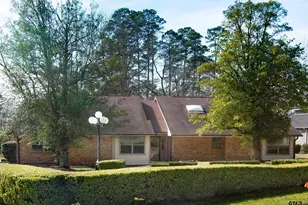 115 Raton Pass, Holly Lake Ranch, TX 75765 - Photo 3