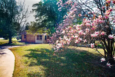 115 Raton Pass, Holly Lake Ranch, TX 75765 - Photo 21