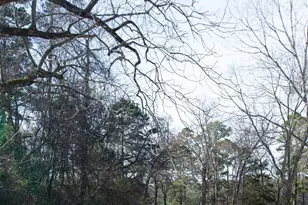 115 Raton Pass, Holly Lake Ranch, TX 75765 - Photo 21