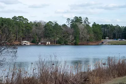 115 Raton Pass, Holly Lake Ranch, TX 75765 - Photo 45