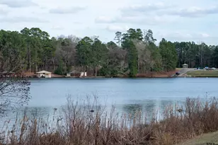 115 Raton Pass, Holly Lake Ranch, TX 75765 - Photo 45