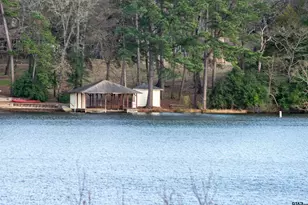 115 Raton Pass, Holly Lake Ranch, TX 75765 - Photo 43
