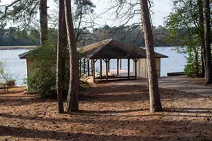 115 Raton Pass, Holly Lake Ranch, TX 75765 - Photo 39