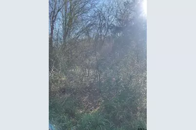 Tbd Cr 2151 (Tract 1), Troup, TX 75789 - Photo 3