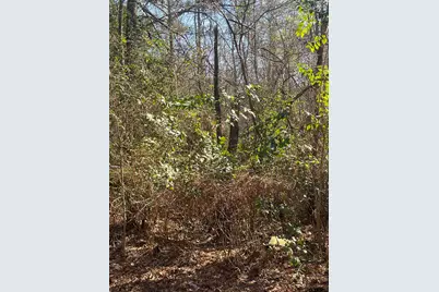 Tbd Cr 2151 (Tract 7A), Troup, TX 75789 - Photo 3