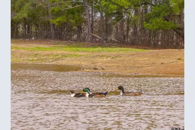 5015 S Fm 726, Gilmer, TX 75645 - Photo 7