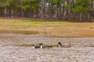 5015 S Fm 726, Gilmer, TX 75645 - Photo 7