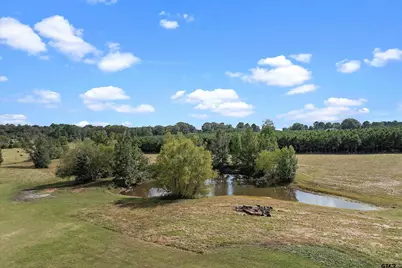 8550 New Hope Rd, Gilmer, TX 75645 - Photo 11