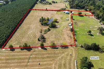 8550 New Hope Rd, Gilmer, TX 75645 - Photo 3