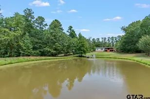 3012 Elysian Fields Ave, Marshall, TX 75672 - Photo 39