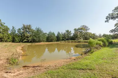 313 Cr 4617, Troup, TX 75789 - Photo 23