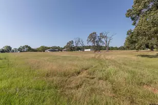 313 Co Rd 4617, Troup, TX 75789 - Photo 33